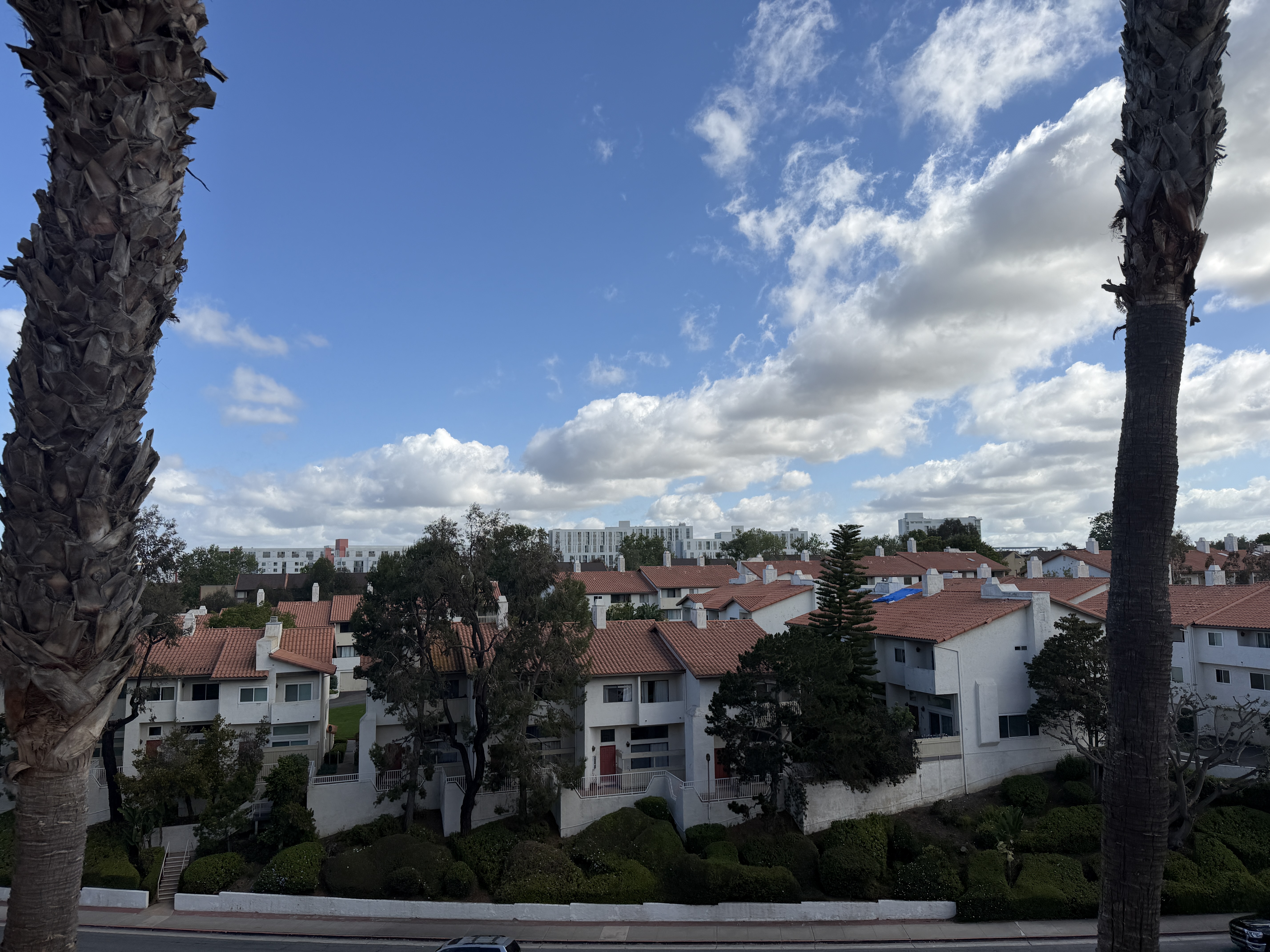 View from Team Meeting Location